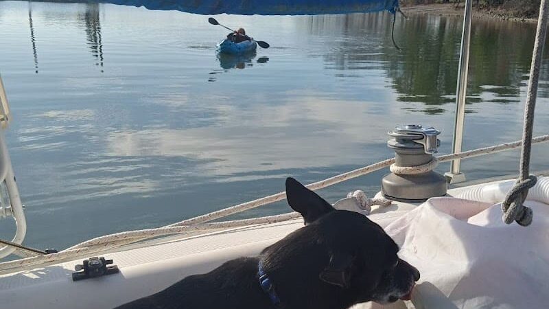 Swaney Pointe K-9 Park - Cornelius, NC