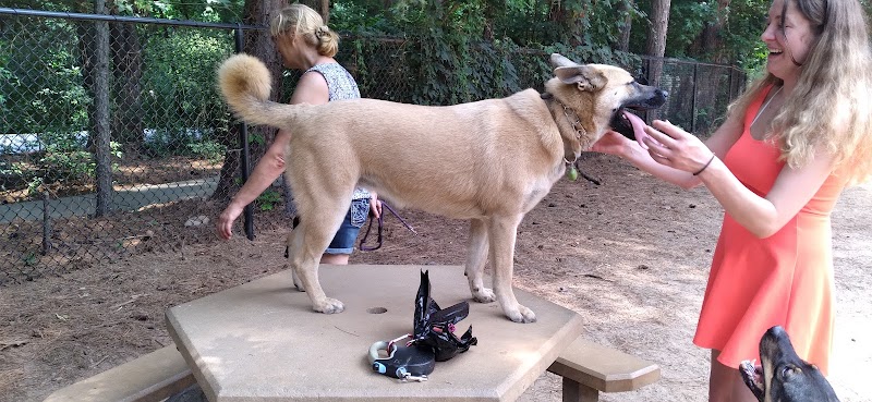 Swaney Pointe K-9 Park - Cornelius, NC