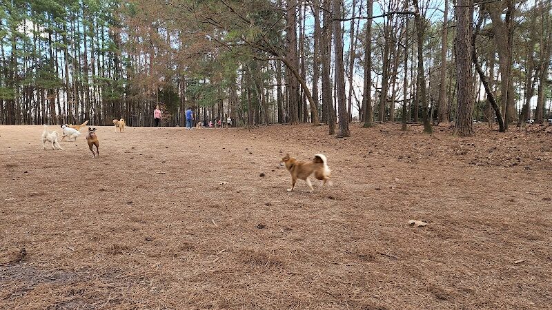 Swaney Pointe K-9 Park - Cornelius, NC