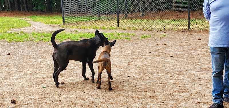 Swaney Pointe K-9 Park - Cornelius, NC