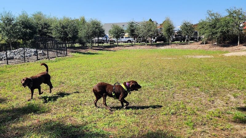 Dog Park - Corolla, NC