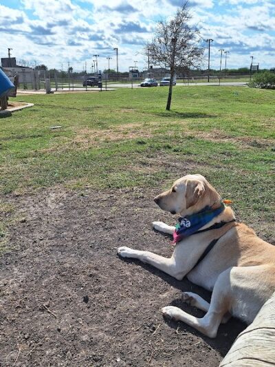 Bill Witt Dog Park - Corpus Christi, TX