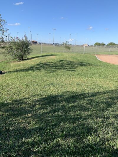 Bill Witt Dog Park - Corpus Christi, TX