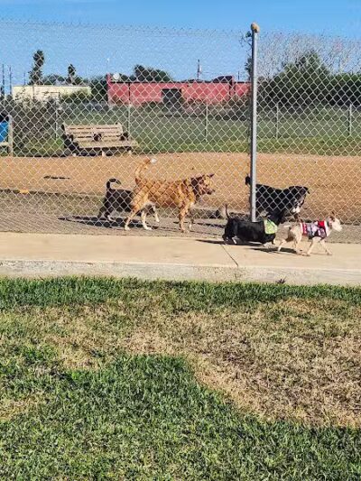 Bill Witt Dog Park - Corpus Christi, TX