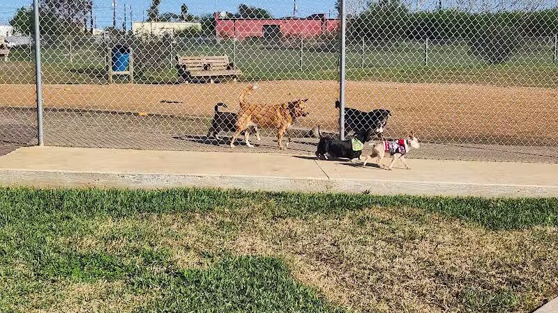 Bill Witt Dog Park - Corpus Christi, TX