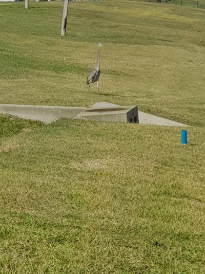 Doddridge Park - Corpus Christi, TX