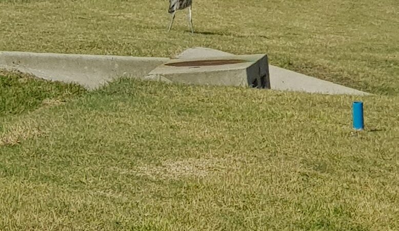 Doddridge Park - Corpus Christi, TX