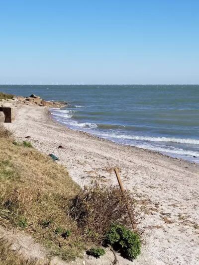 Doddridge Park - Corpus Christi, TX