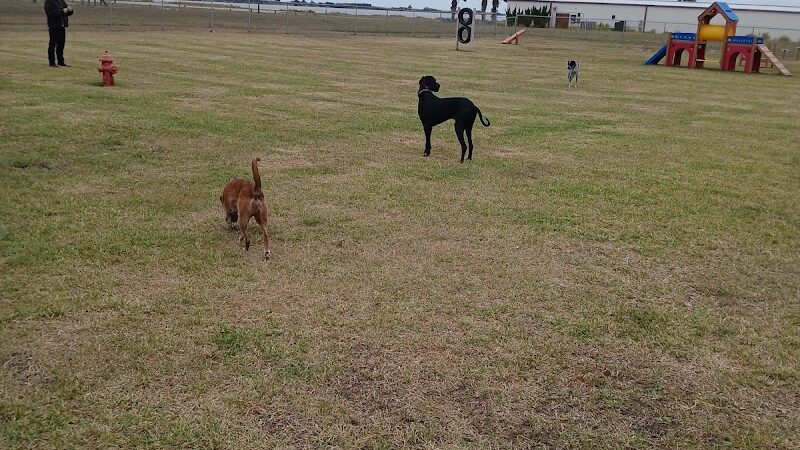 MWR Dog Park - Corpus Christi, TX