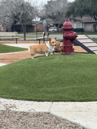 Sherwood Park - Corpus Christi, TX