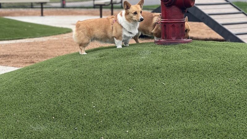 Sherwood Park - Corpus Christi, TX