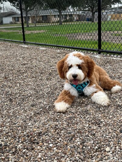 Sherwood Park - Corpus Christi, TX