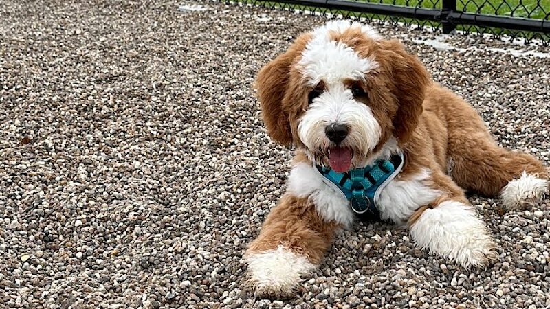 Sherwood Park - Corpus Christi, TX