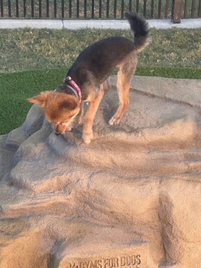 Sherwood Park - Corpus Christi, TX