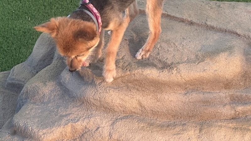 Sherwood Park - Corpus Christi, TX