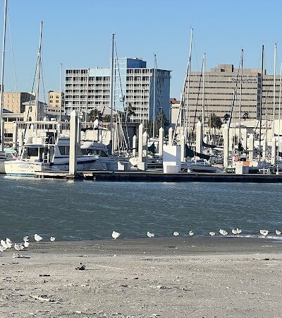 Water's Edge Park - Corpus Christi, TX