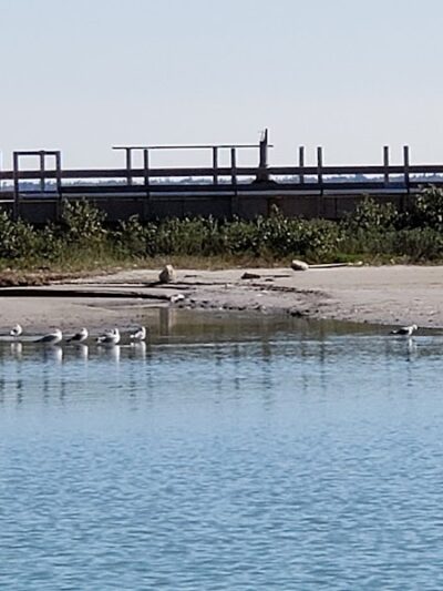Water's Edge Park - Corpus Christi, TX