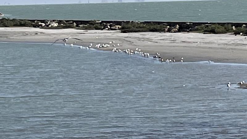 Water's Edge Park - Corpus Christi, TX
