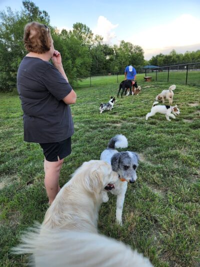 Bark Park - Cottleville, MO