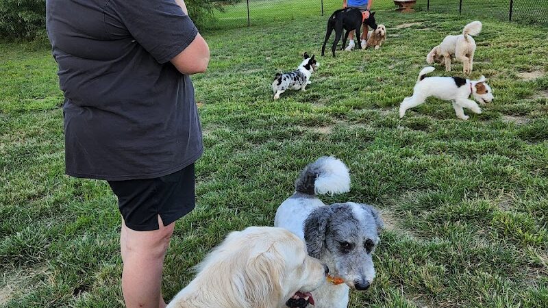 Bark Park - Cottleville, MO
