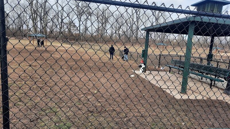 Bark Park - Cottleville, MO