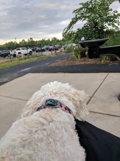 Bark Park - Cottleville, MO