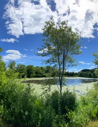 Creaser Park - Coventry, CT