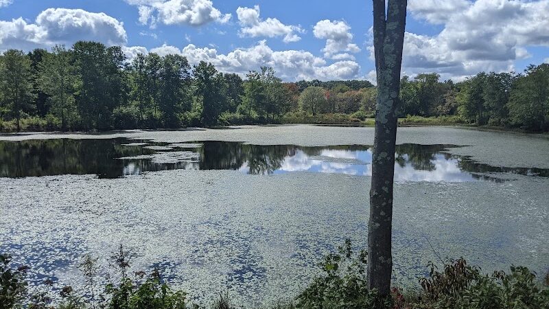 Creaser Park - Coventry, CT