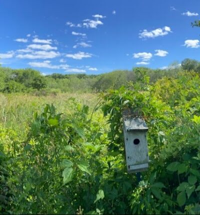 Creaser Park - Coventry, CT