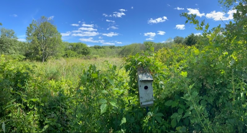 Creaser Park - Coventry, CT