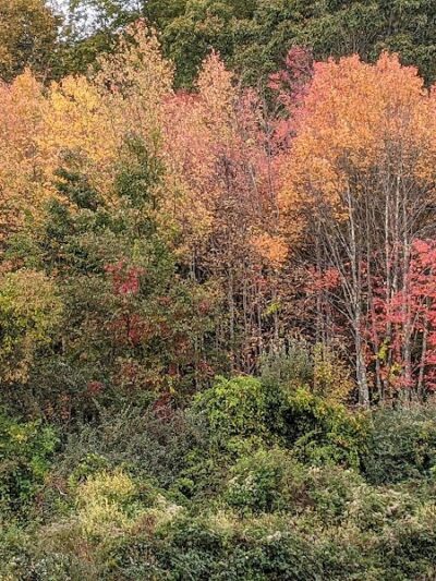 Creaser Park - Coventry, CT