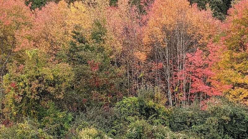 Creaser Park - Coventry, CT