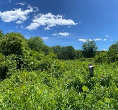 Creaser Park - Coventry, CT