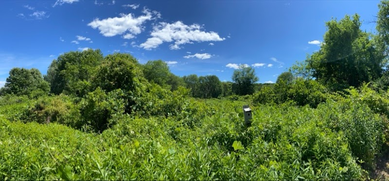 Creaser Park - Coventry, CT