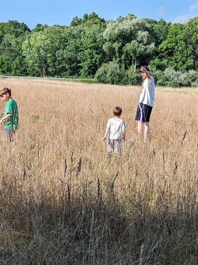 Creaser Park - Coventry, CT