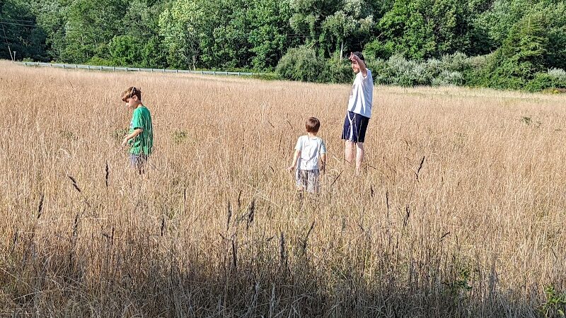 Creaser Park - Coventry, CT