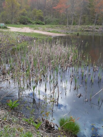 Creaser Park - Coventry, CT