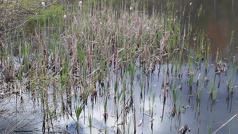 Creaser Park - Coventry, CT
