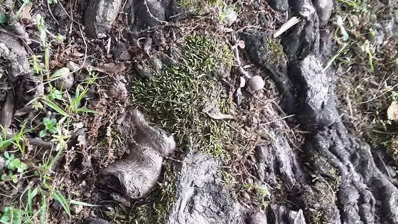 Cowden Park - Cowden, IL