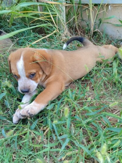 Coyle Park - Coyle, OK