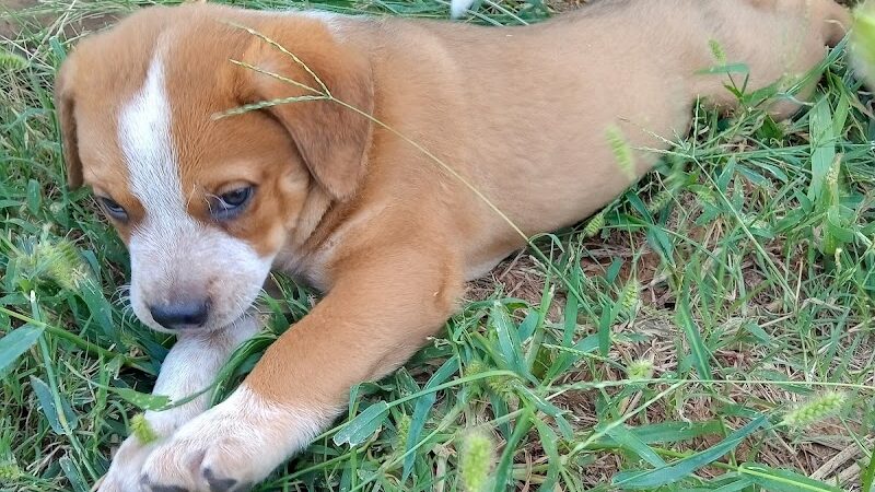 Coyle Park - Coyle, OK