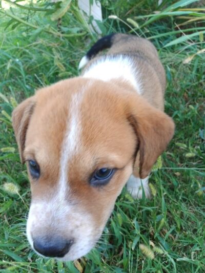 Coyle Park - Coyle, OK