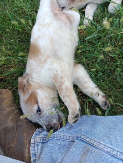 Coyle Park - Coyle, OK