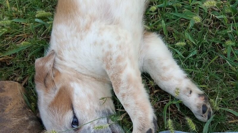 Coyle Park - Coyle, OK