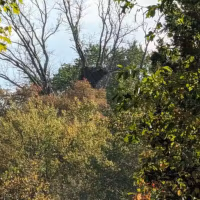 Bulk Farm Nature Center - Cranbury, NJ