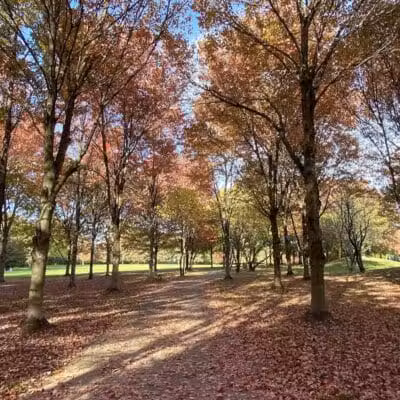 Heritage Park - Cranbury, NJ