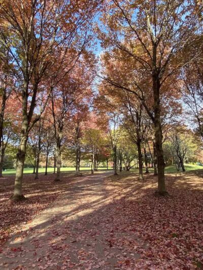 Heritage Park - Cranbury, NJ