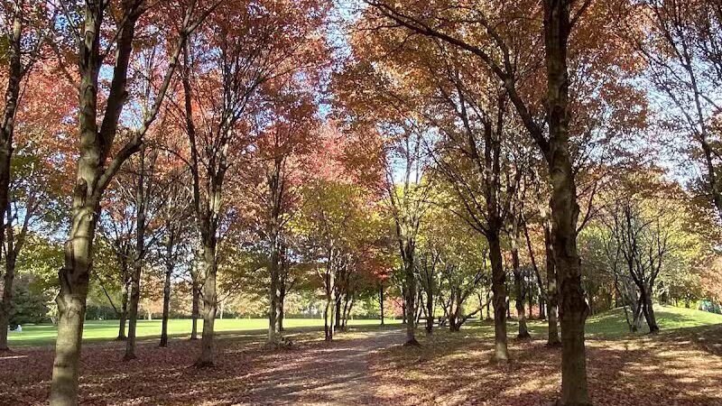 Heritage Park - Cranbury, NJ