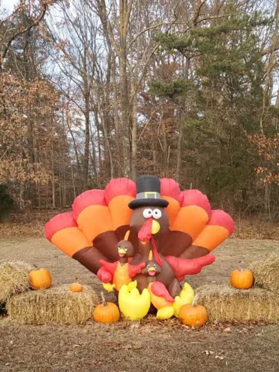 Crystal Springs Wilderness Lodges & RV Resort - Cream Ridge, NJ