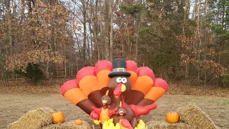 Crystal Springs Wilderness Lodges & RV Resort - Cream Ridge, NJ